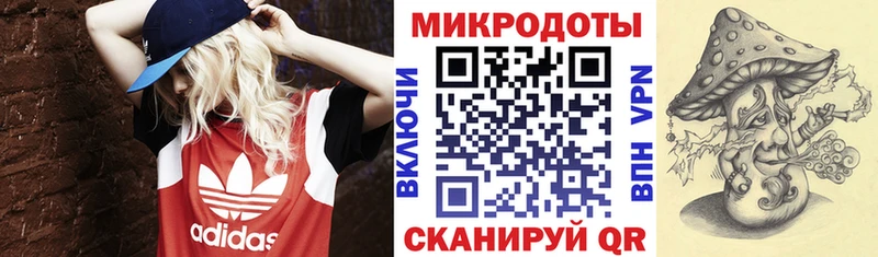 kraken зеркало  купить наркотики цена  Мезень  Галлюциногенные грибы мицелий 
