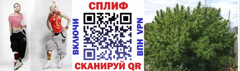 МАРИХУАНА марихуана  Мезень 